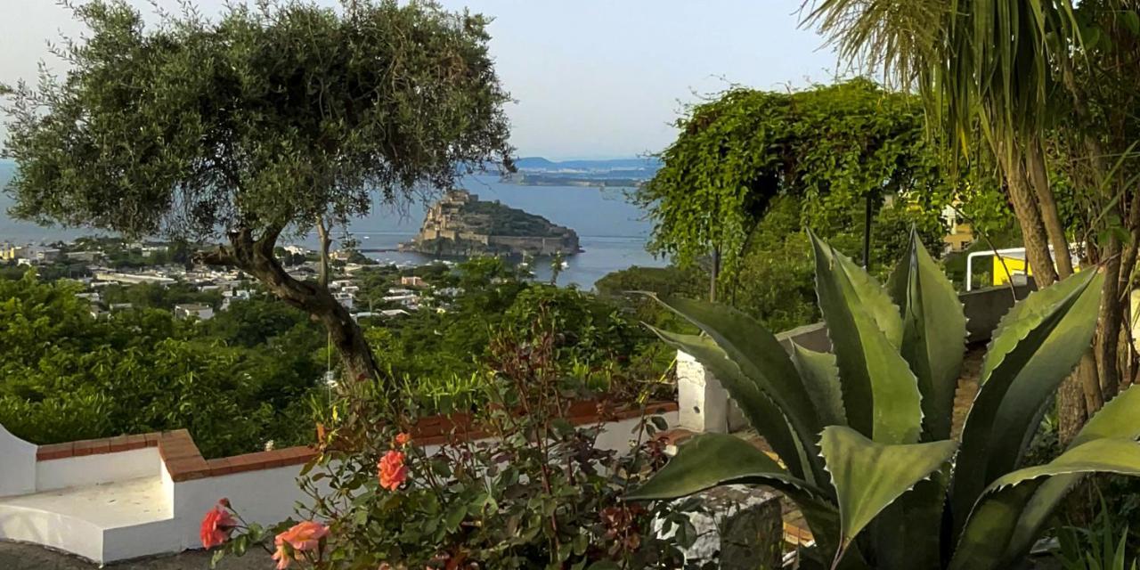 Barracudasuite Ischia Esterno foto